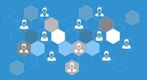 仁懷網(wǎng)絡(luò)推廣實(shí)戰(zhàn) 技術(shù)原理、核心參數(shù)與區(qū)域品牌突圍之道