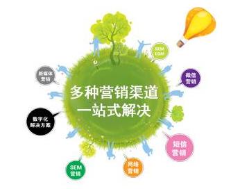 網(wǎng)站設計與網(wǎng)絡技術開發(fā) 專業(yè)服務歡迎來電咨詢